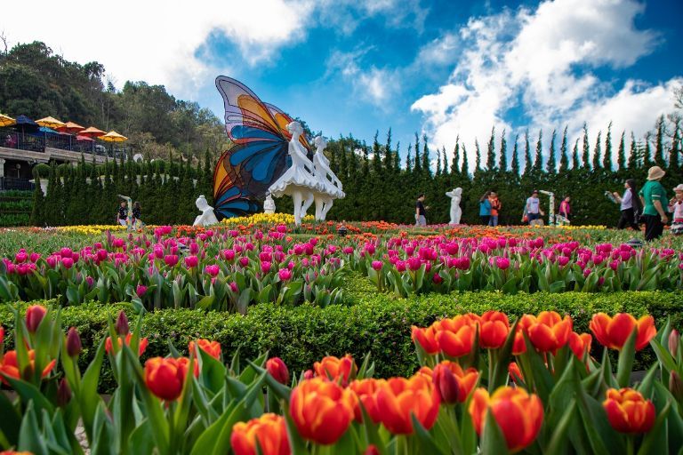 G – Gardens of Flowers