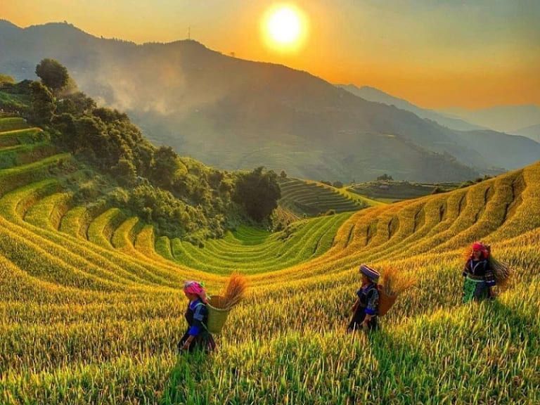 Ta Phin Village – Red Dao Cultural Hub