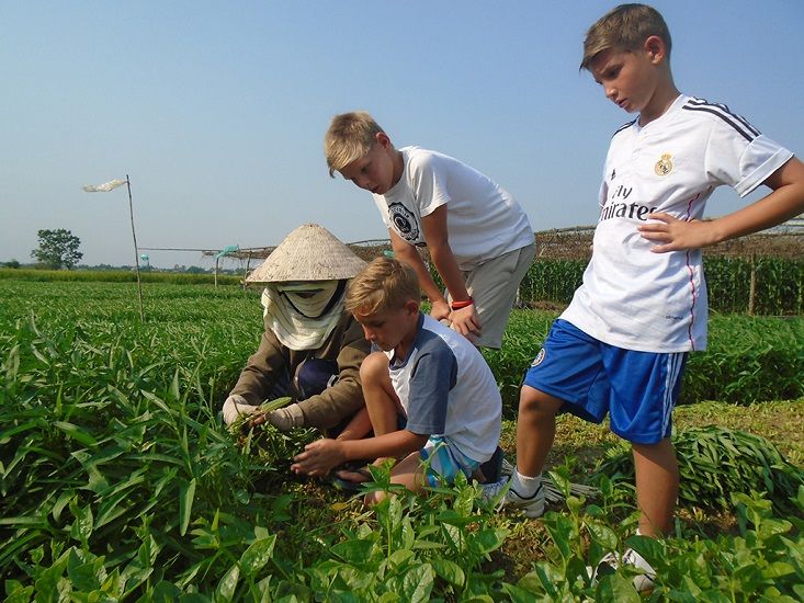 Tra Que Vegetable Village
