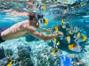 What Is the Best Season for Phu Quoc Travel? Updated 2026