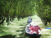 SELF-GUIDED TRAVEL TO THE WEST (MEKONG DELTA): EXPERIENCE, ITINERARY & COSTS