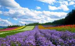 Where to Travel in December? Top 8 Most Beautiful Destinations in Vietnam!