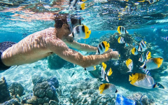 What Is the Best Season for Phu Quoc Travel? Updated 2026