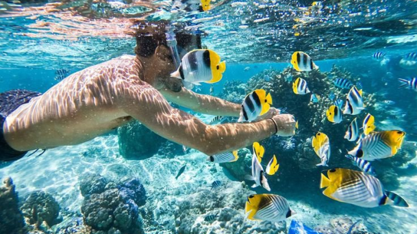 What Is the Best Season for Phu Quoc Travel? Updated 2026