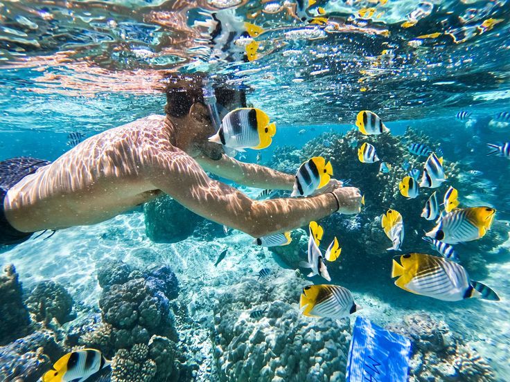 Underwater World in Phu Quoc