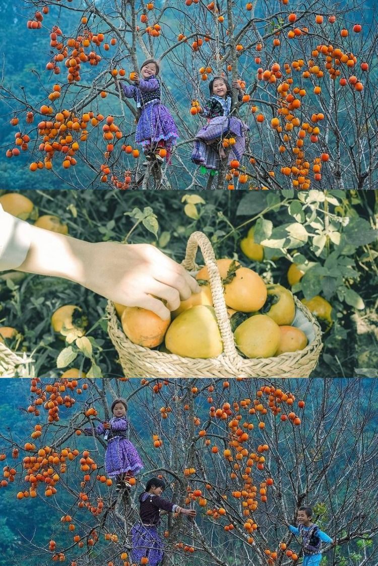 Must-Visit Attractions in Moc Chau