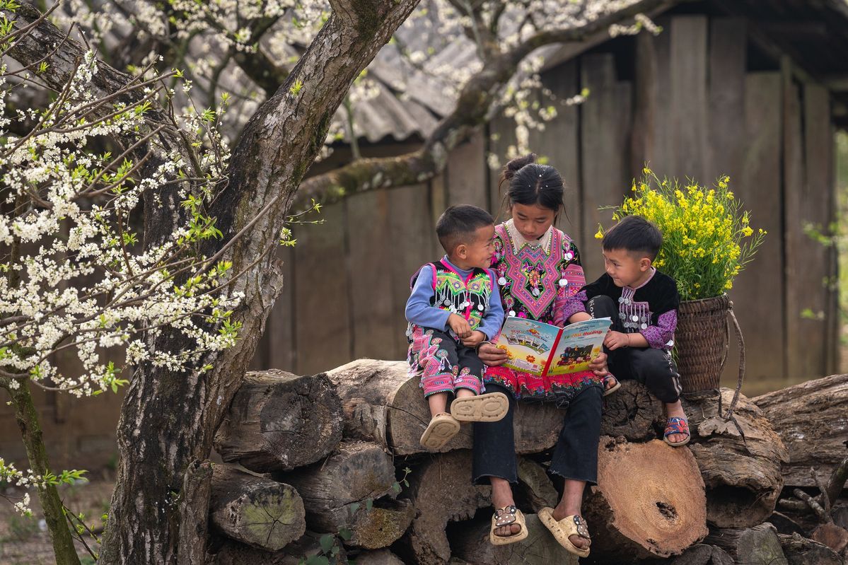 Discovering Local Life