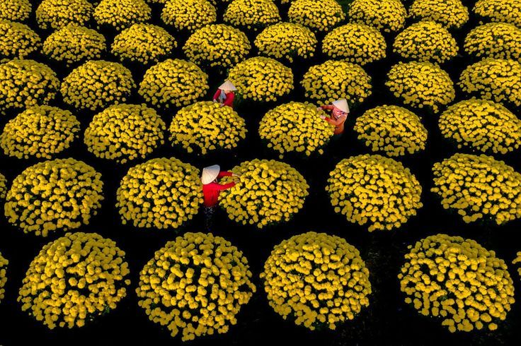 Mekong Delta Travel During Tet