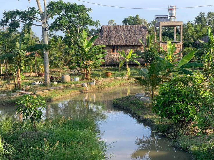 Travel Tips for Mekong Delta travel During Tet
