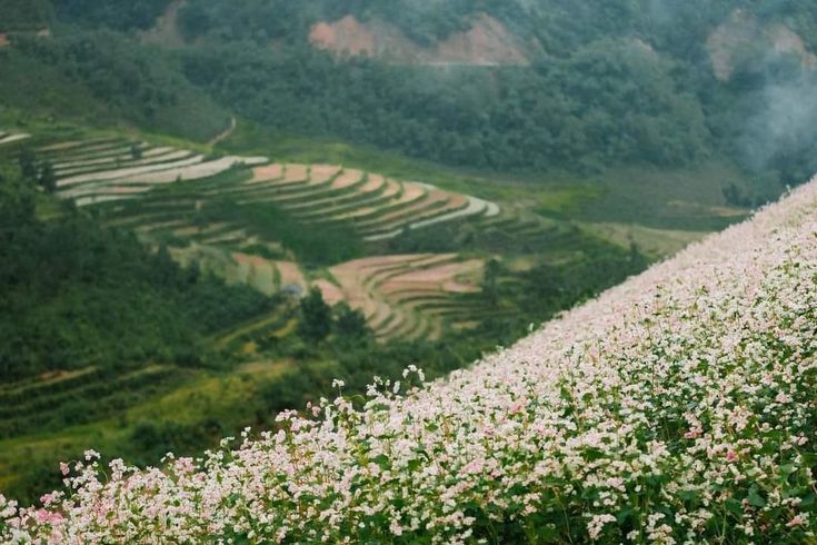 Traveling Ha Giang in Winter