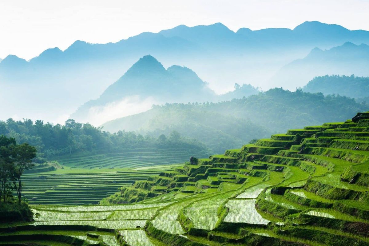 Mu Cang Chai