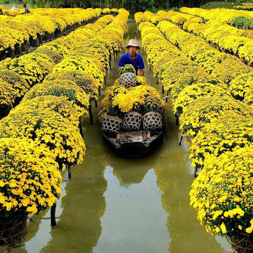 Flower Villages – The Colorful Soul of Spring